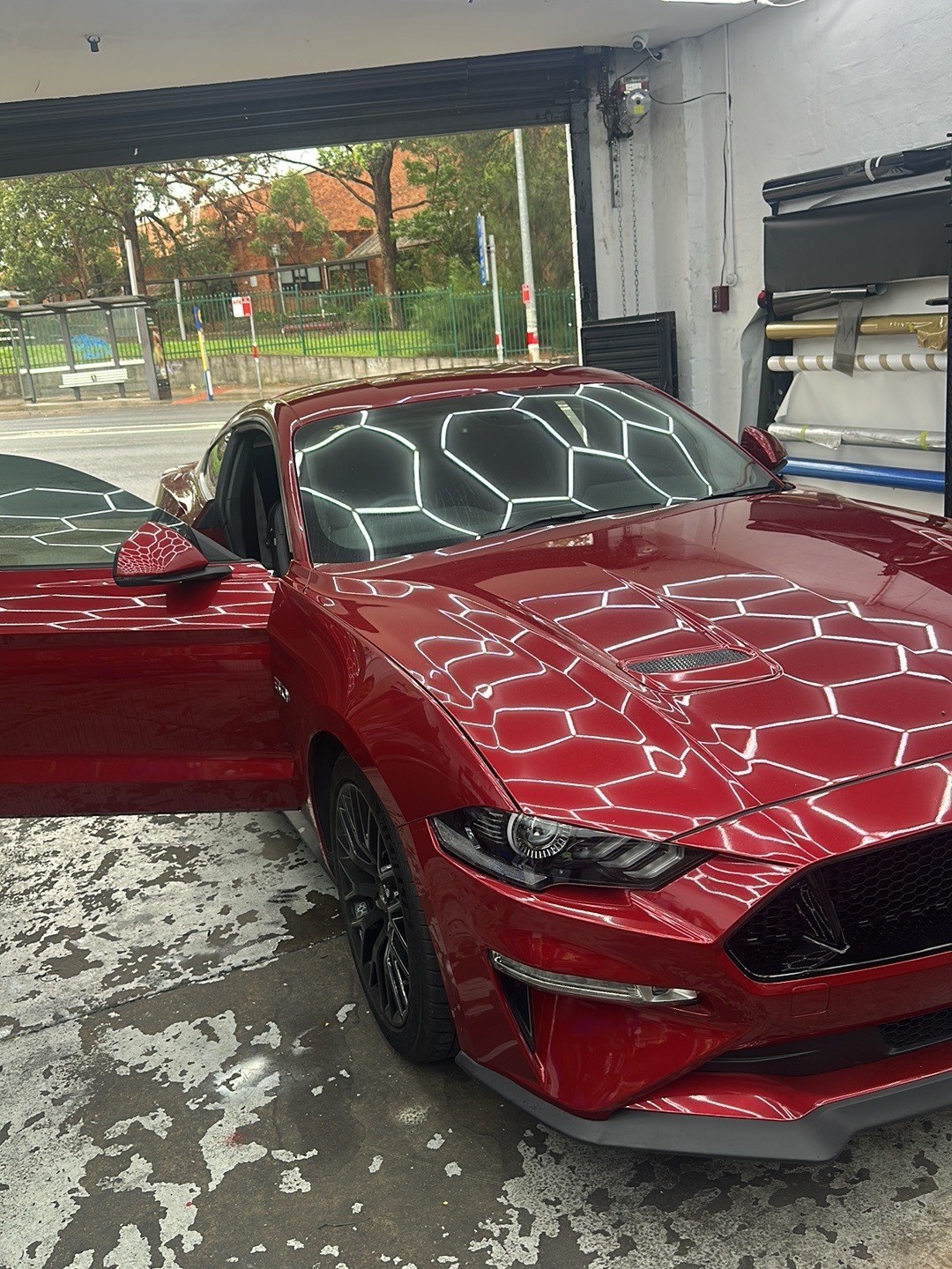 V Custom & Wrap
