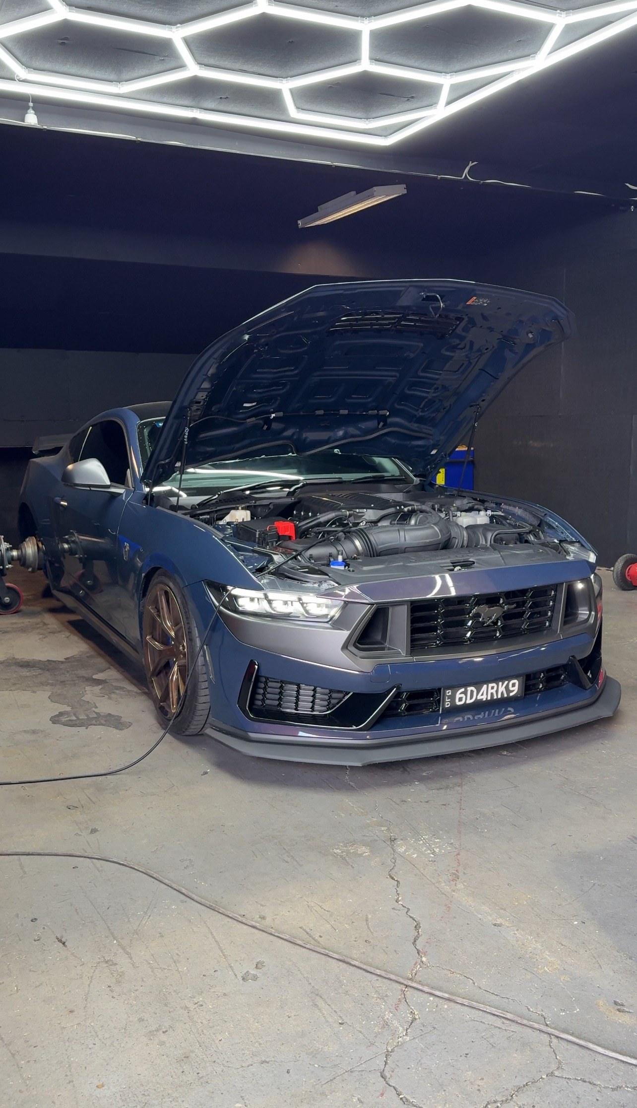 East Coast Customs photo 4