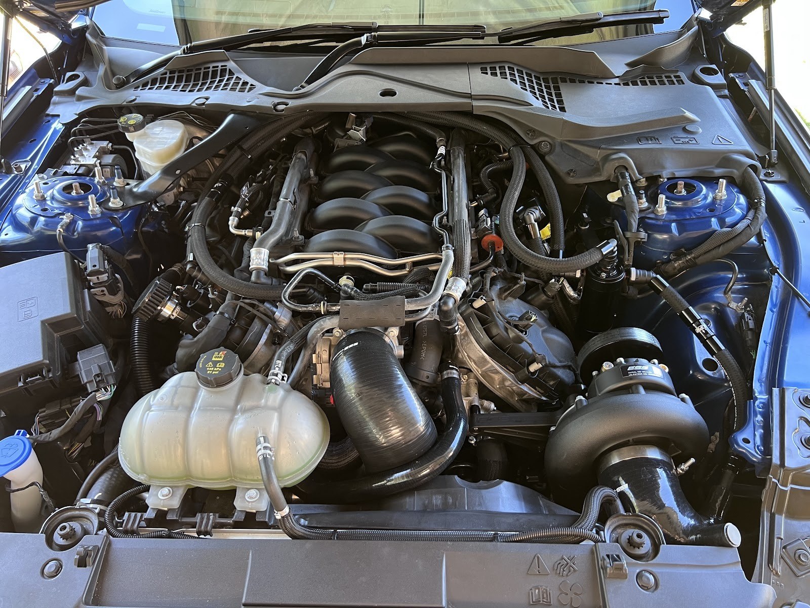 East Coast Customs photo 6