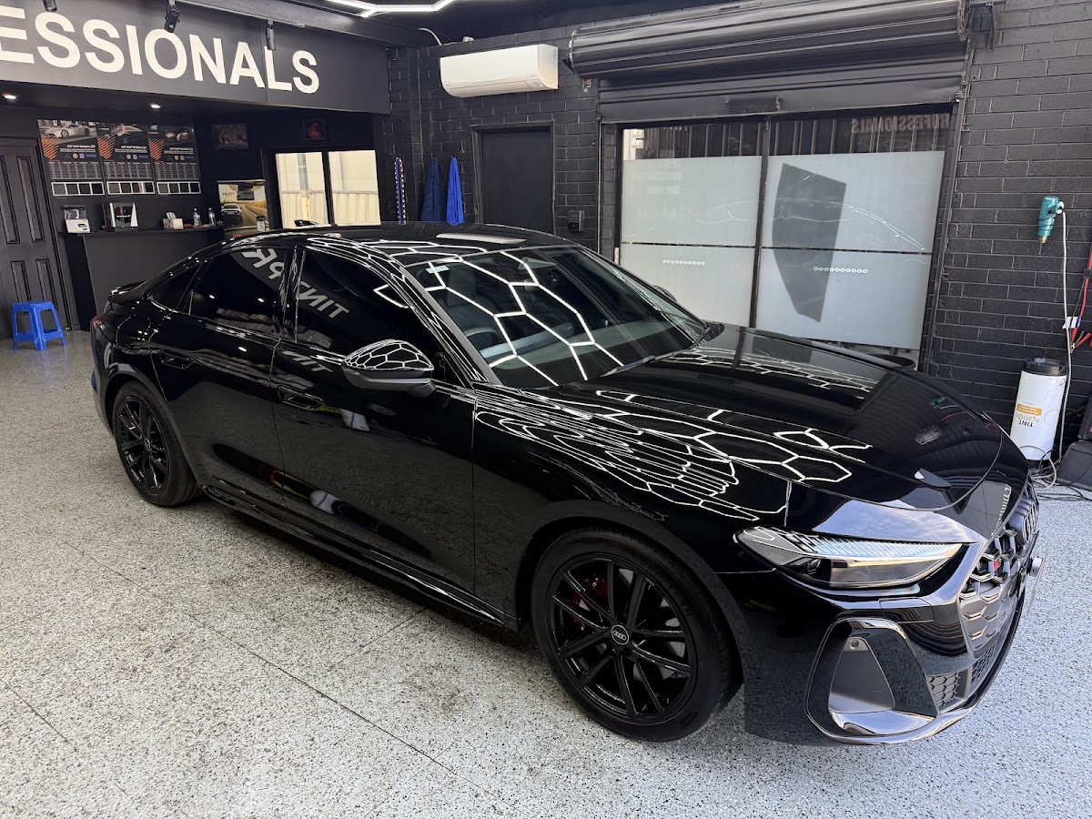 Tint Professionals