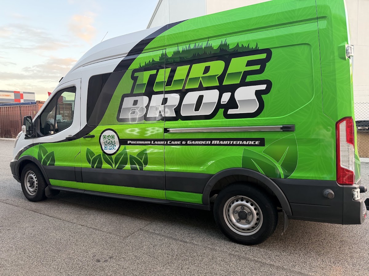 Wrap and Tint Network