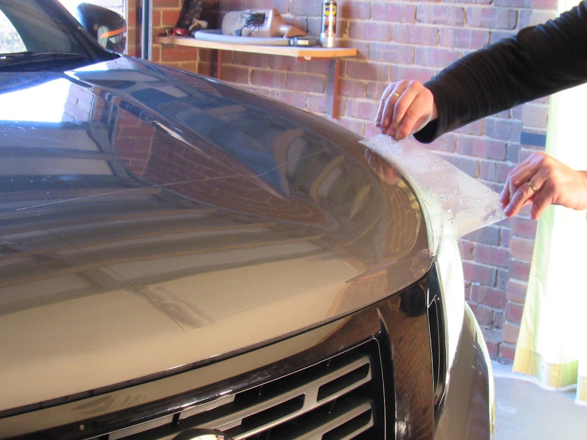 Paintgard Protection Film photo 3