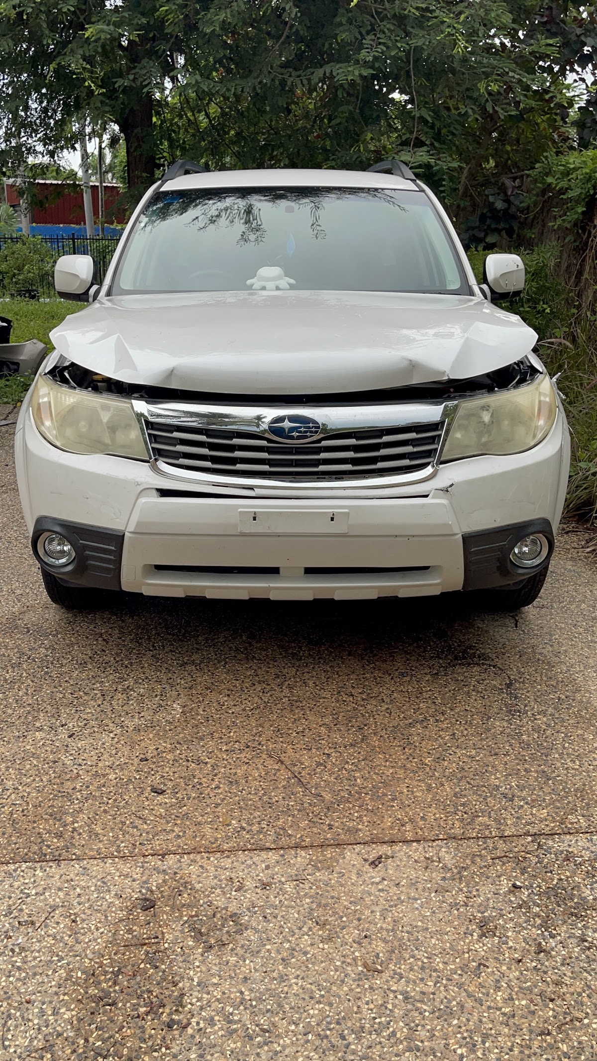 Auto Body Fix photo 5
