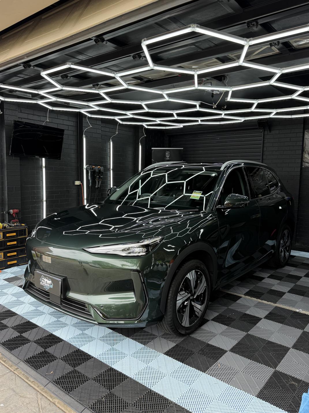 Platinum Lab Detailing photo 4