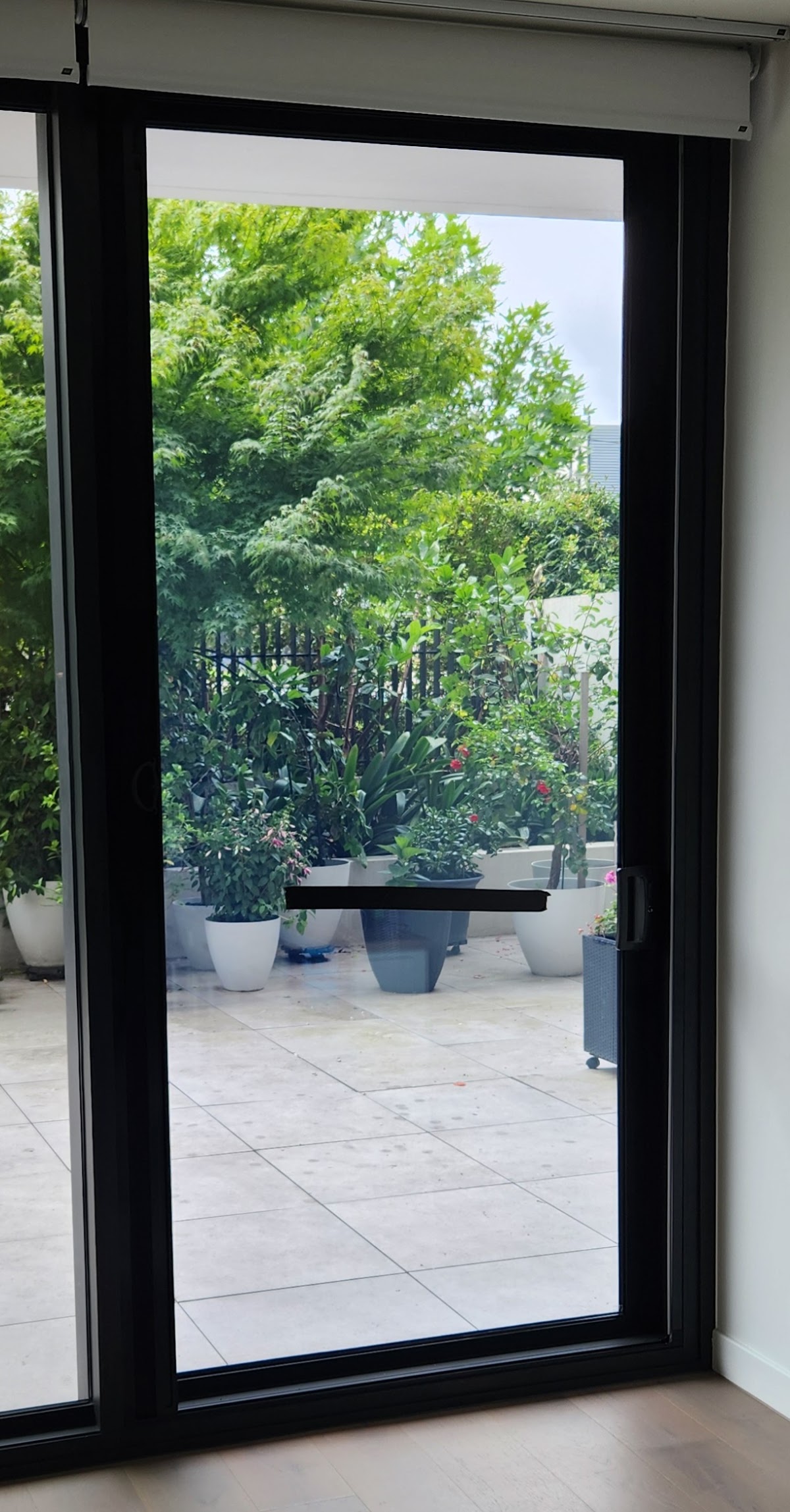 Express Glass photo 4