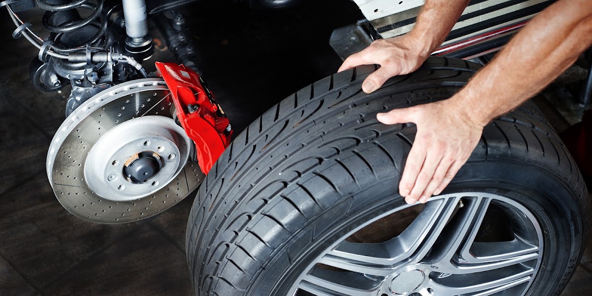 Tyreright Darwin photo 6