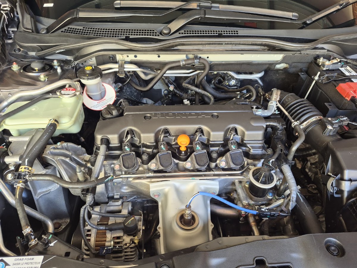 Perth Ceramic Coatings & Paint Protection photo 4