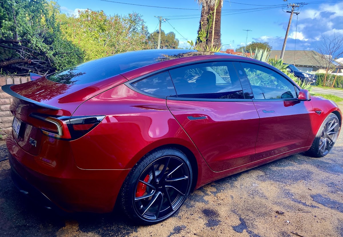 Beauty and Beast Paint Protection photo 1