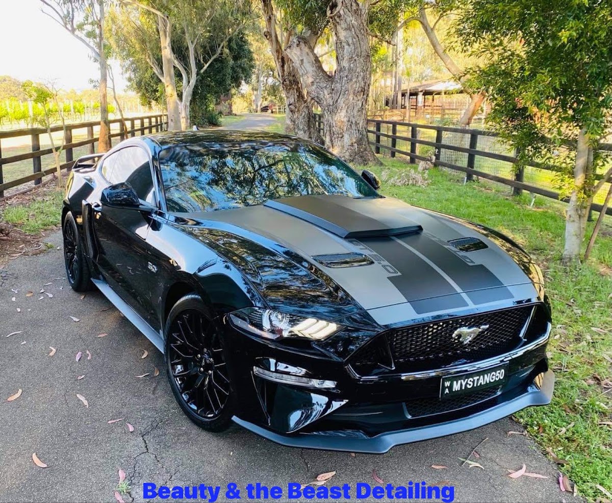 Beauty and Beast Paint Protection photo 3