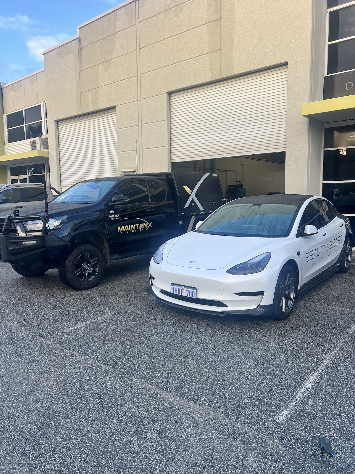 Beauty and Beast Paint Protection photo 6