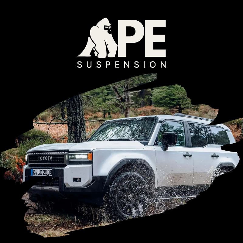 APE SUSPENSION photo 1