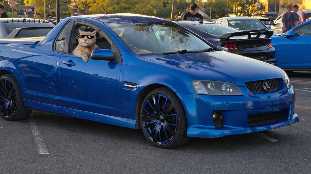 Vic cars